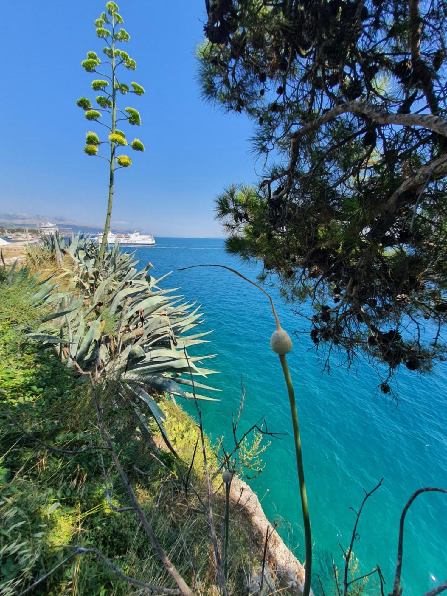 Old Town Hesed Apartmán Split